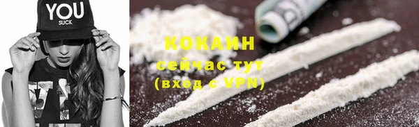 дживик Горняк