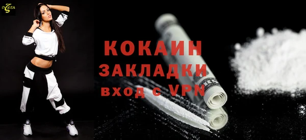 дживик Горняк