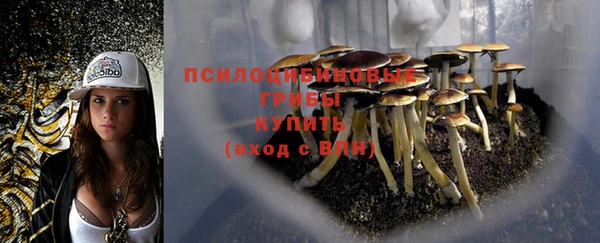 стаф Горно-Алтайск