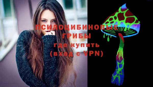 mdpv Горнозаводск